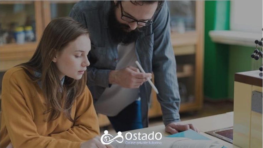 Which Are The 4 Types of Tutoring Sessions? Ostado, online tutoring service